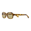 GALLERY DEPT.Sunglasses | November 14, 1978 HAVANA